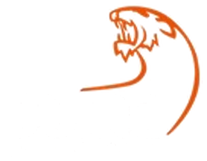 Puma Sistemas